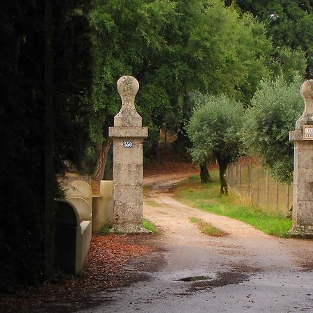 Quinta Do Cerquito Villa Ferreira do Zezere Ngoại thất bức ảnh
