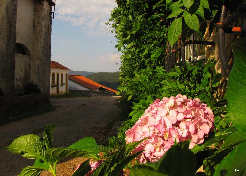 Quinta Do Cerquito Villa Ferreira do Zezere Ngoại thất bức ảnh