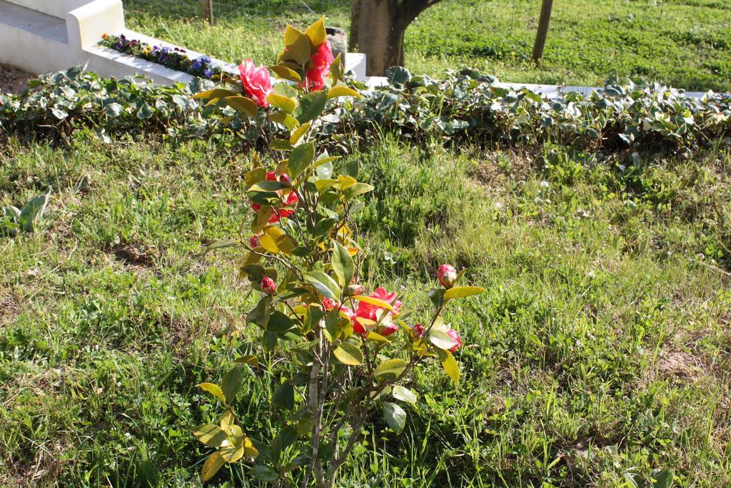 Quinta Do Cerquito Villa Ferreira do Zezere Ngoại thất bức ảnh
