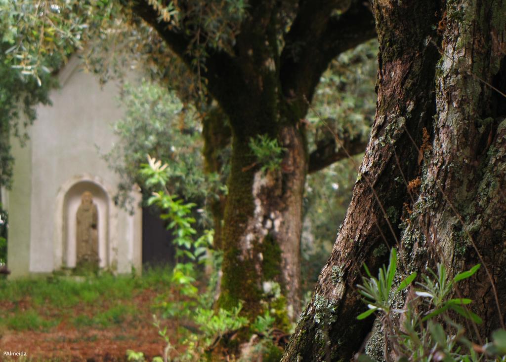 Quinta Do Cerquito Villa Ferreira do Zezere Ngoại thất bức ảnh