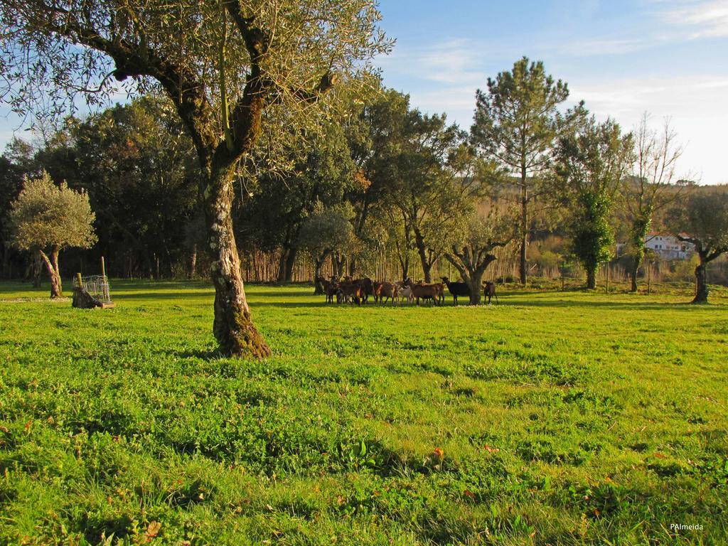 Quinta Do Cerquito Villa Ferreira do Zezere Ngoại thất bức ảnh