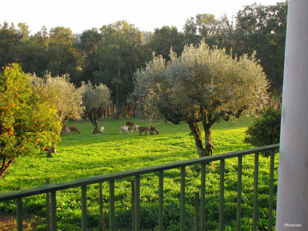 Quinta Do Cerquito Villa Ferreira do Zezere Ngoại thất bức ảnh